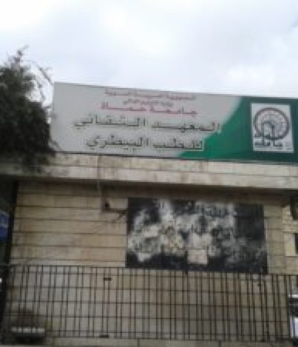 الرئيسية-300×225 الرئيسية-300x225